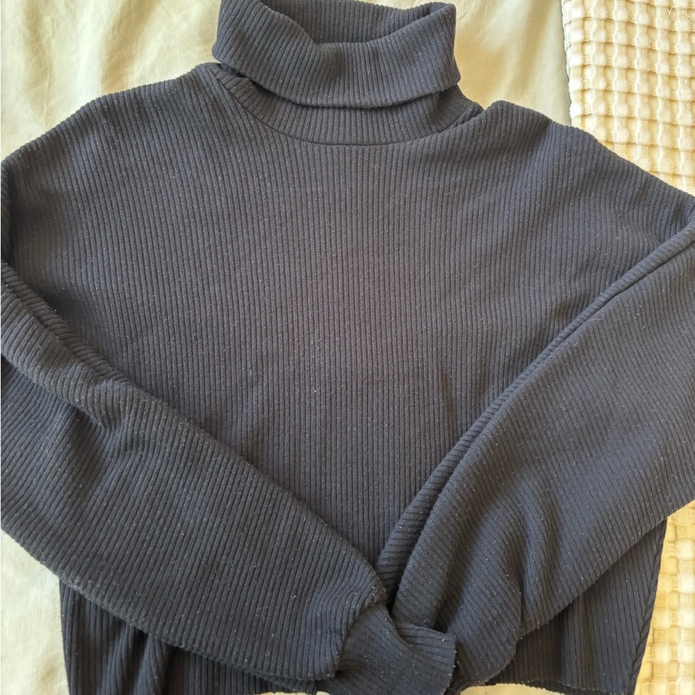 Tilly’s Cropped Black Turtleneck Sweater
